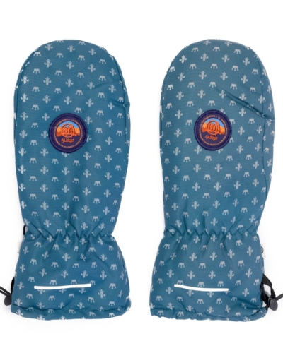 Lil Kings варежки WINTER AQUA PRINT