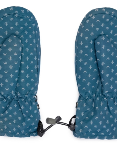 Lil Kings варежки WINTER AQUA PRINT