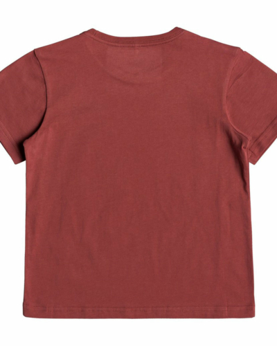 QUIKSILVER EQKZT03290 – WOLFRIDINGSSBOY – ФУТБОЛКА -BRICK RED
