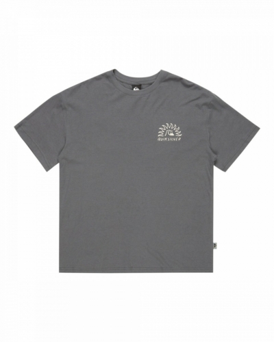 QUIKSILVER EQYZT08027 / Freedom Swell / футболка / ANTHRACITE