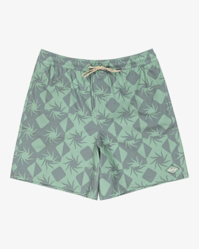BILLABONG EBYJV00139 / WASTED / шорты плавательные / PASTEL GREEN